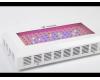 Lampa LED SpectraBox Pro 120W