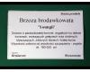 Etykieta samoprzylepna TT 100 x 140 mm  rolka 1000