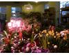 Lampa LED 200W Full spectrum